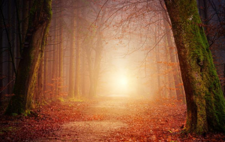 رؤية الميت في المنام للعزباء